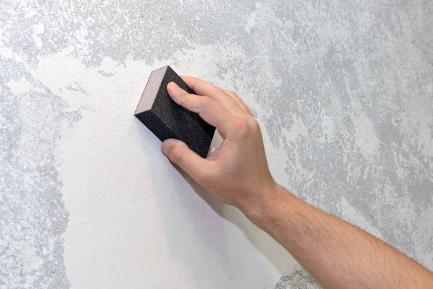 Best Real Estate Mold Inspection  in Syracuse, KS