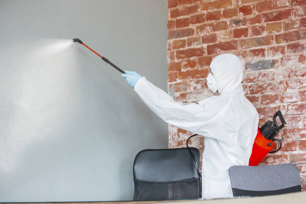 Best Attic Mold Removal  in Syracuse, KS