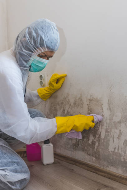 Best Residential Mold Inspection & Testing  in Syracuse, KS