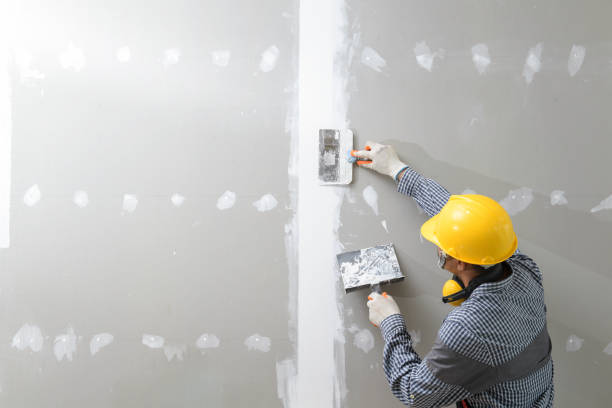 Best Black Mold Removal  in Syracuse, KS