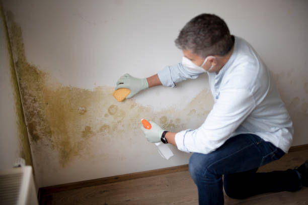 Best Mold Prevention Services  in Syracuse, KS