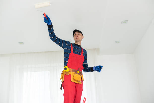 Best Water Damage & Mold Remediation  in Syracuse, KS