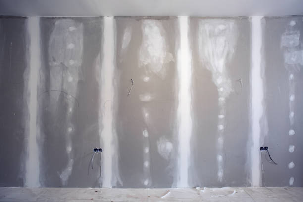 Mold Remediation for Vacation Homes in Syracuse, KS