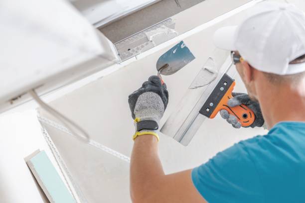 Best Mold Odor Removal Services  in Syracuse, KS